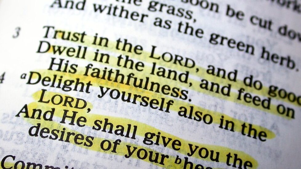 PHOTO-DELIGHT-IN-THE-LORD-900x444