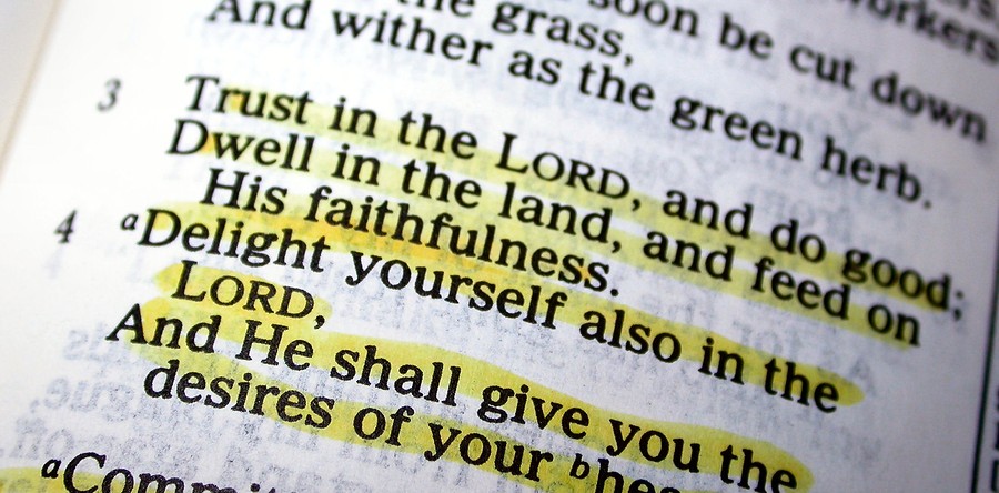 PHOTO-DELIGHT-IN-THE-LORD-900x444