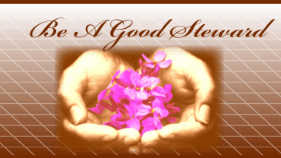Article-Photo_Be-A-Good-Steward