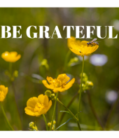 An Attitude of Gratitude