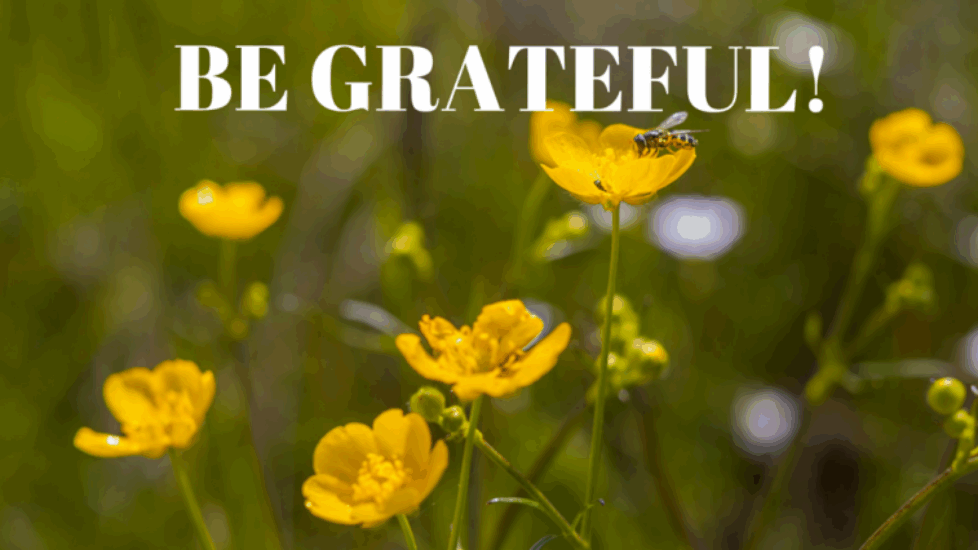 BE-GRATEFUL-e1462105371979