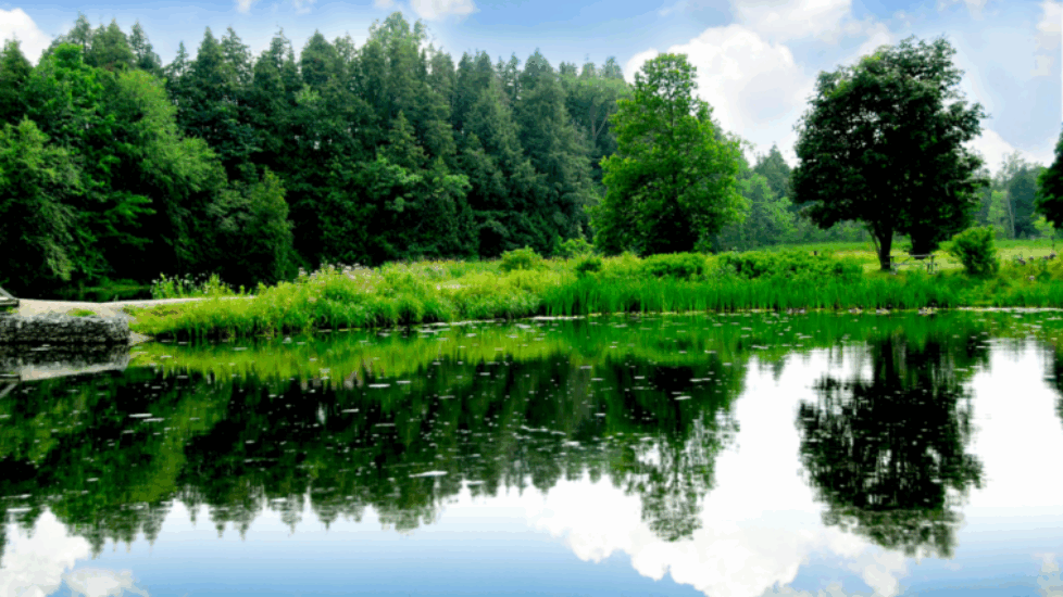 PHOTO-DAILY-INSPIRATION-A-POSITIVE-ATTITUDE-e1464966913675