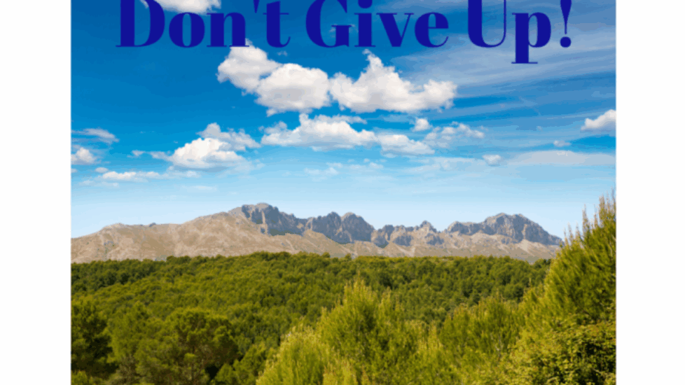 PHOTO-DAILY-INSPIRATION-DONT-GIVE-UP-e1461761178239