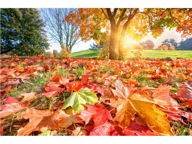 PHOTO-DAILY-INSPIRATION-IT-IS-TIME-FOR-A-CHANGE-e1461852545306