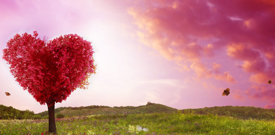 Tree of love in spring. Red heart shaped tree at sunset. Beautif